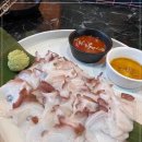 호랑이광장 이미지