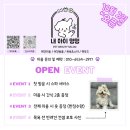 내아이멍멍