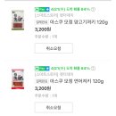 펫더데이 이미지