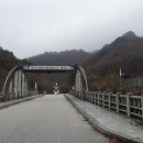 정자나무 펜션 이미지