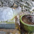 대부해솔길 4코스 이미지