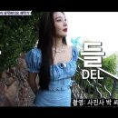 다한투어 이미지