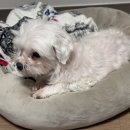 끼리끼리 이미지