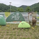 국토정중앙배꼽마을 이미지