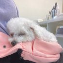 크리스네일뷰티 이미지