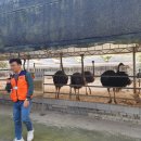 정일모농장 네이버블로그
