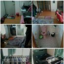 시화초등학교 이미지