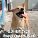 두리 스토리 Daum카페