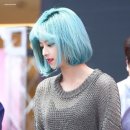 초록미용실 - 동구 | 초록미용실
