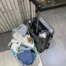 미루고 미루던 12월 일상