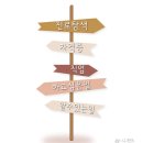 웰다잉심리상담사 | 지금 주목받는 AI 대체불가 민간자격증 3가지 탄소중립지도사 웰다잉지도사 군심리상담사