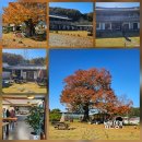 한방소머리국밥 이미지