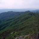 가리산막국수 이미지