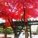 간촌공원 이미지