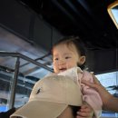 롯데월드아쿠아리움 | 2026 잠실 롯데월드 아쿠아리움 방문후기 _13개월 아기랑 공연시간