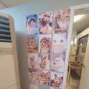모여봐요 고양이 카페 | 김포 고양이카페 &#34;모여봐요 고양이카페&#34; 방문후기