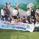 펫피랜드 이미지