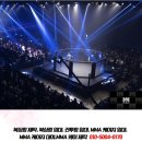주식회사 파이트월드넘버원 | &#34;안전과 품질의 끝판왕, 본엔터테인먼트 복싱링과 MMA 케이지 총정리&#34; 복싱링임대,복싱링대여,복싱링...
