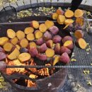 군포시립가야어린이집 | 우리들 자연학교 11월 13일 고양시립 이음 어린이집 옹달샘반 수업 후기