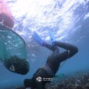 천일토굴새우젓 이미지