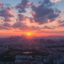 엄마라는이름으로 이미지