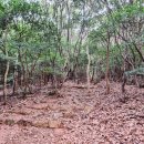 미황사 화장실 이미지