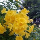 아름다운 반복 이미지