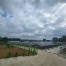 동훈2 태양광발전소 이미지