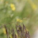 (주)온체 이미지