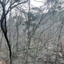 새해 첫날 합천 해인사 백련암 삼천배 후기