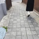 빙고호스텔