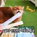 펫플러스라이프 | 고양이 간식 아르르 쮸르, 동원몰 밴드플러스로 저렴하게 구입한 후기!