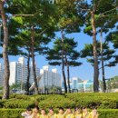 뮤지컬관람/미녀와야수🐺👸 이미지