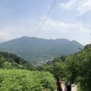 영게스트3 이미지