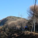 파스쿠찌대전 이미지