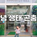 부잣집보쌈