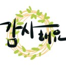 새롬동_크리스마스빌딩앞 이미지