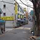 ORANG 오랑 티스토리