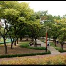 보라매공원 이미지