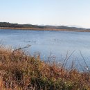 벌교하나로마트앞 이미지