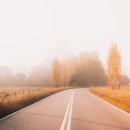 황금의땅공인중개사사무소 이미지