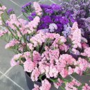 Unail - 담양군 | Unail