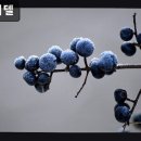 썬고시텔 - 아산시 청운로84번길 19-5 | 썬고시텔