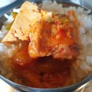 제주명돼지 - 47636 | 제주명돼지