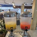 라메디 | 필리핀 보홀 가성비 리조트 라메디리조트 후기/0.5박 입국팩 출국팩