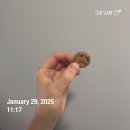 런던쌤 티스토리