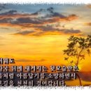 첫눈에반하다 이미지