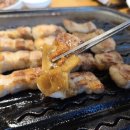 뼈대있는돼지집 이미지