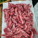 은행나무갈매기 이미지