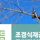 세움기술경영 이미지